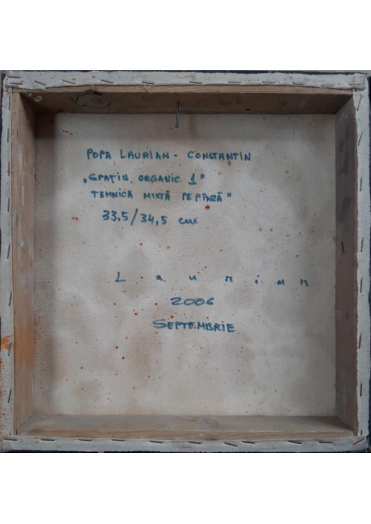 Laurian Constantin Popa (Romanian, n. 1980)